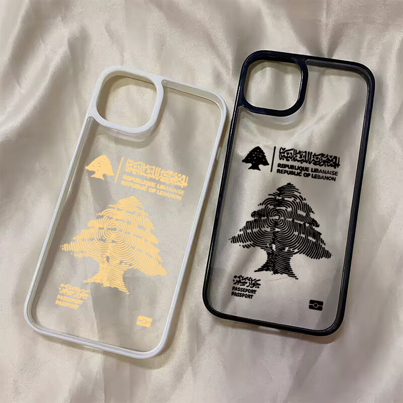 Custodia Antiurto per iPhone 1 - Phone Cases Like Loopy recensione e prezzo